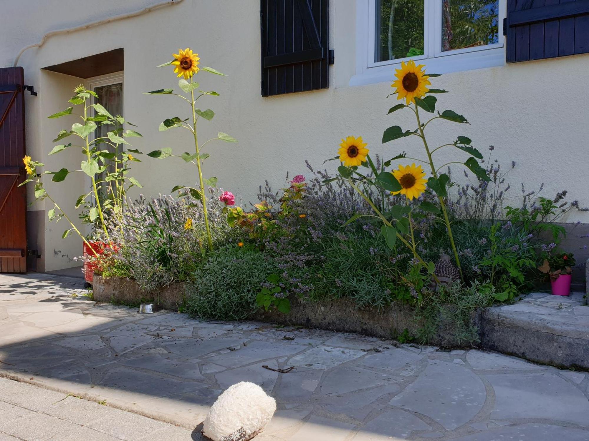 Chambre Privee Dans Petite Maison Typique มองติวิลิเยร์ ภายนอก รูปภาพ